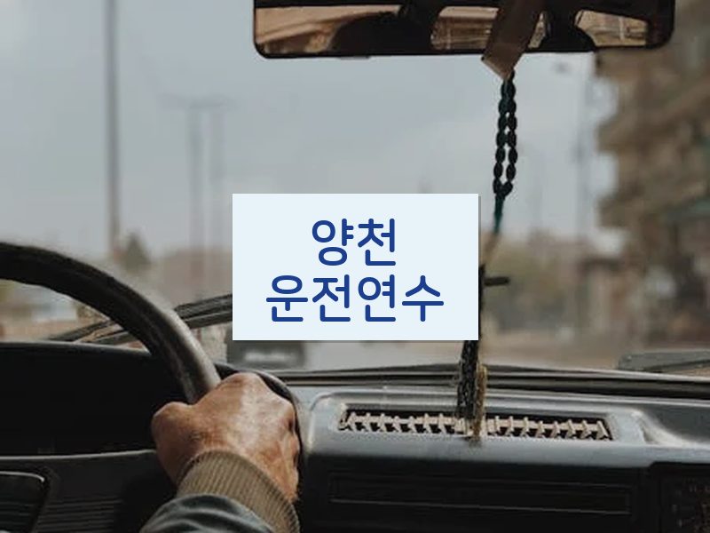 양천운전연수 후기