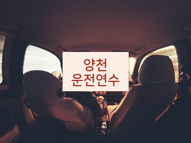 양천운전연수 후기