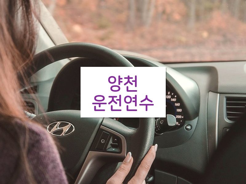양천운전연수 후기
