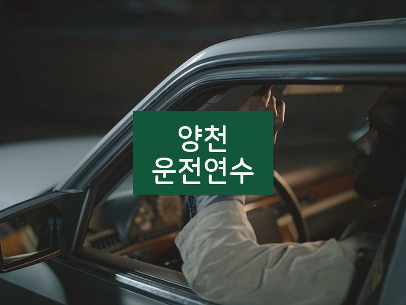 양천운전연수 후기