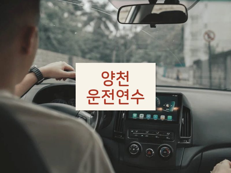 양천운전연수 후기