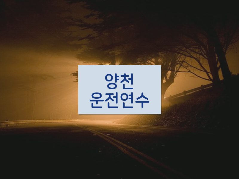 양천운전연수 후기