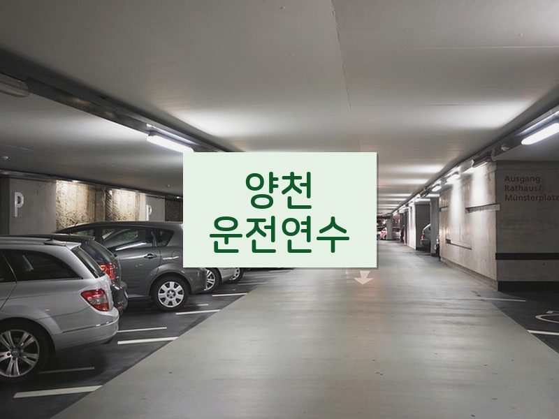 양천운전연수 후기