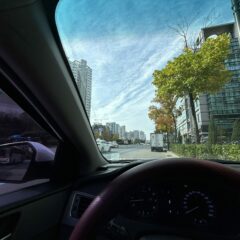 새벽 연수 좋아요