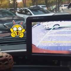 운전 배우고 나서 처음으로 혼자 갔어요