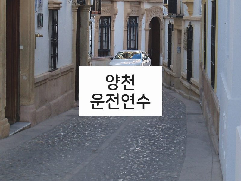 양천운전연수 후기
